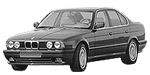 BMW E34 C0981 Fault Code